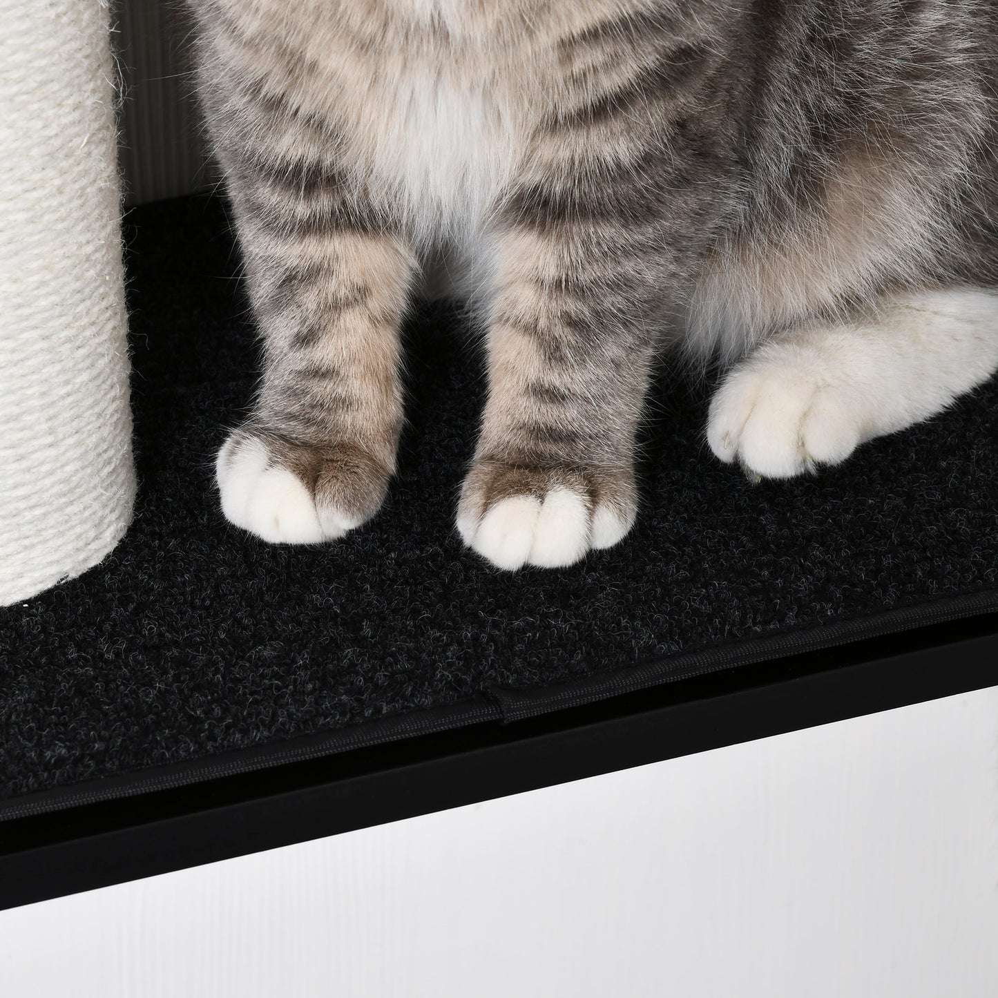 Pawhut Árbol Para Gatos De Pared Con 3 Plataformas Cojín Extraíble 63x28x93,5 Cm_3