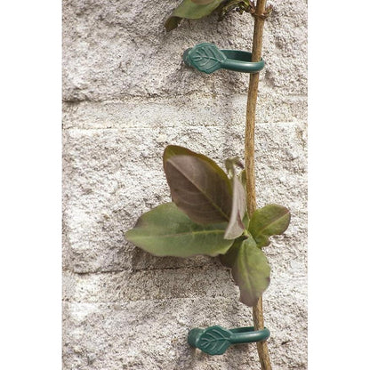 Abrazadera para trepadoras con clavo Biotop 8 ud