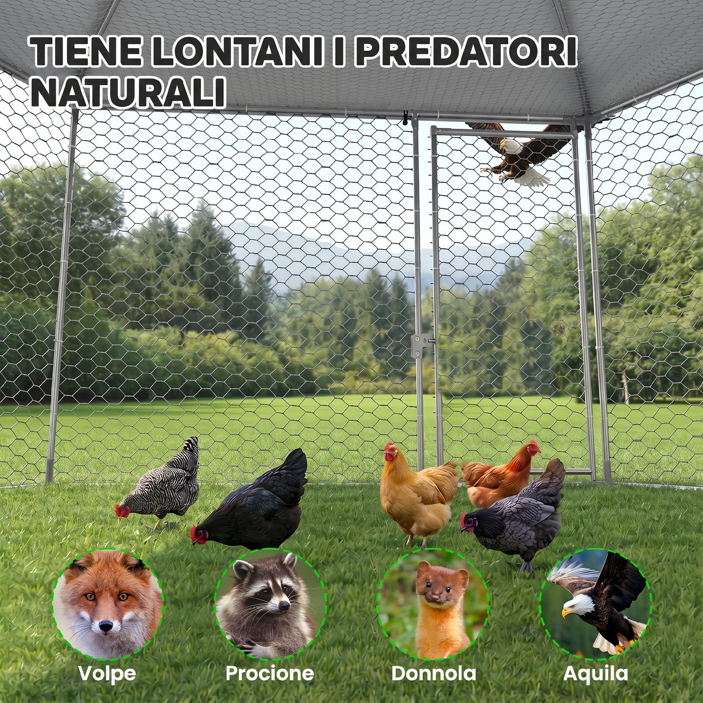 Pawhut Gallinero Para Exterior Grande De Acero 400x346x263 Cm Plata_4
