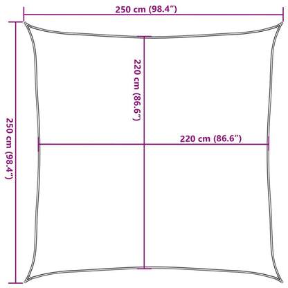 Vidaxl Toldo Retráctil 100% Poliéster Oxford Arena 2,5x2,5 M_2