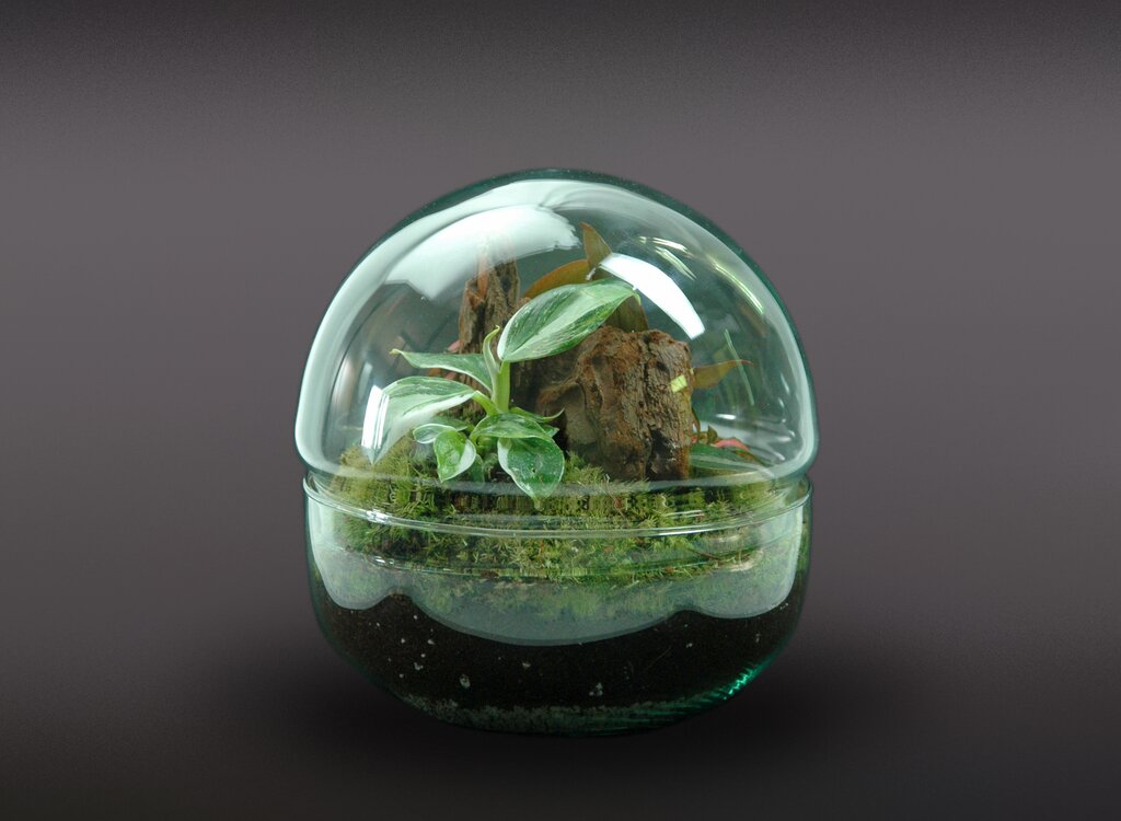 Nanogarden Terrario Ball Mix 4p 20x20cm