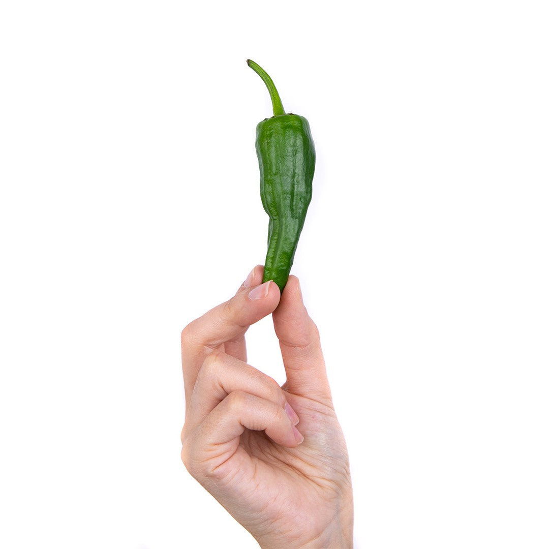 Pimiento Padrón 0.5kg, Origen España, Granada La Palma_5
