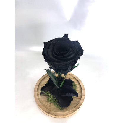 Mundo Eterno Rosa En Cúpula Negra 12x20cm