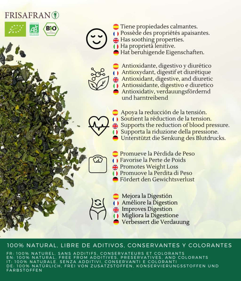 Té Verde Gunpowder Menta Ecológico Granel - Calidad Y Sabor | Frisafran 200 G_2