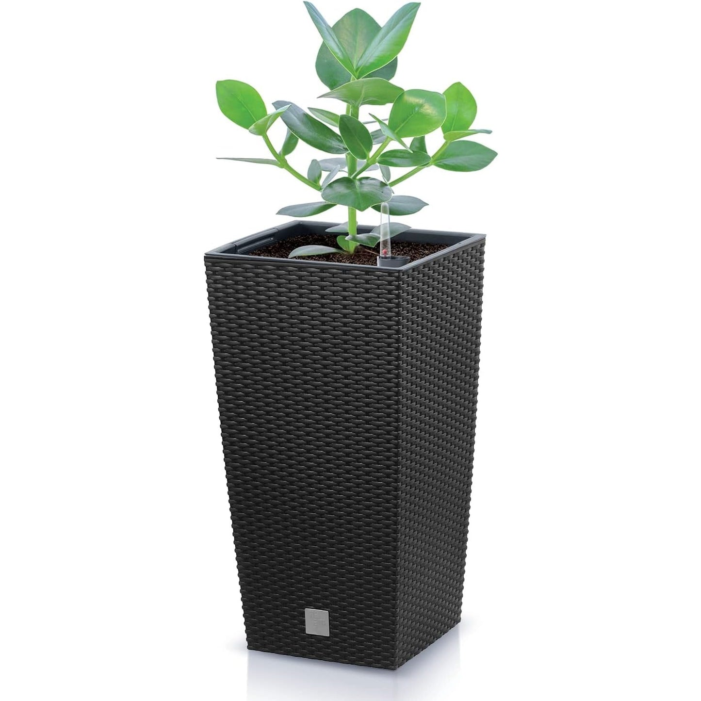 Maceta Rato De 26,6 Litros Con Inserto 26,5 X 26,5 X 50 Cm En Color Antracita_5