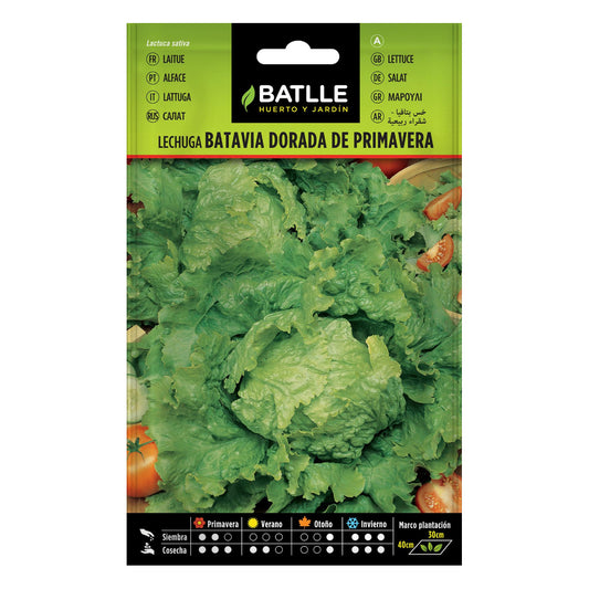Semillas de Lechuga Dorada de Primavera Batlle