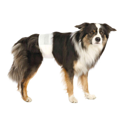 Trixie 12 Pañales para Perro Macho L-XL 60-80 cm