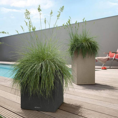 Lechuza Macetero Canto Stone 30 Low All-in-one Negro Grafito_1