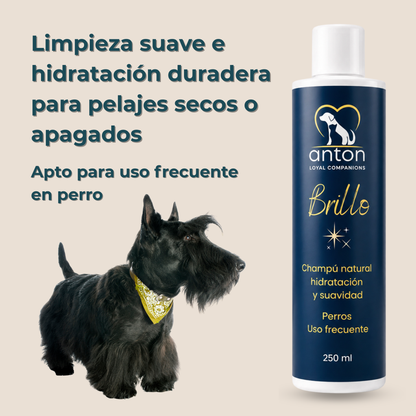 Champú natural para el cuidado del pelaje de perros – Pack 3 x 250 ml_1