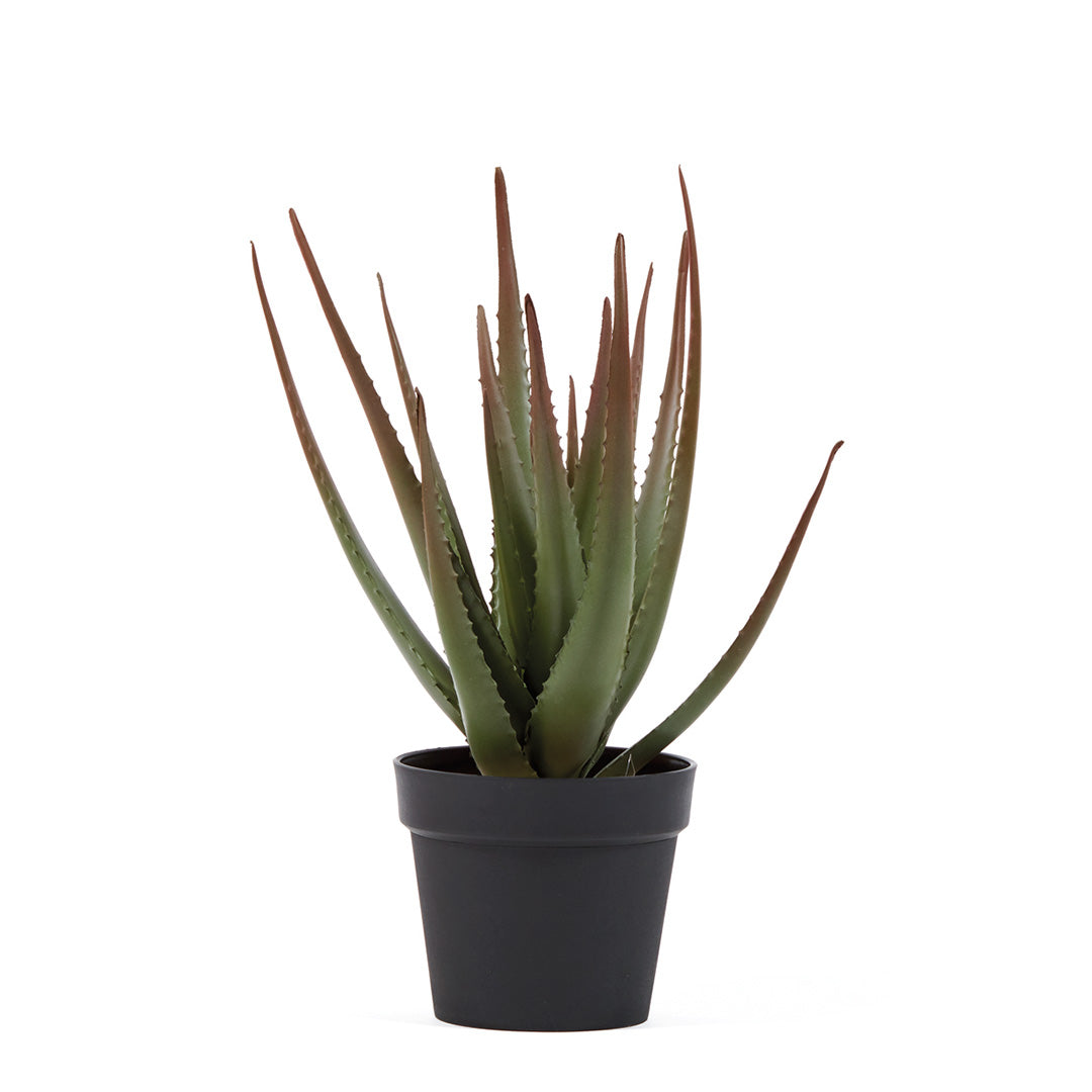 Cactus Artificial Aloe - Decoración Natural Y Sin Mantenimiento 0.81 M / Multicolor_2