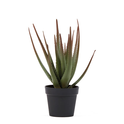 Cactus Artificial Aloe - Decoración Natural Y Sin Mantenimiento 0.81 M / Multicolor_2