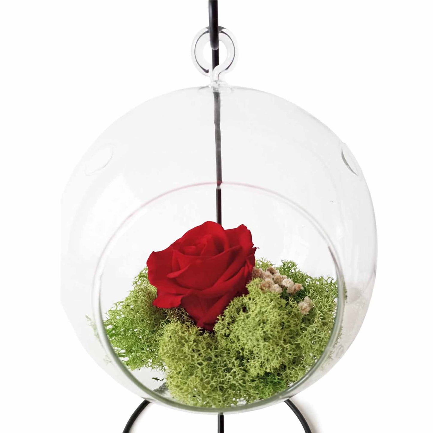 Rosa Eterna - Colgante Xl_1