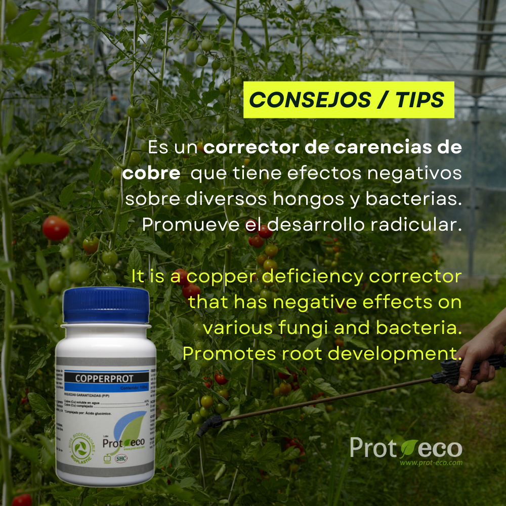 Copperprot Prot-eco Corrector De Cobre Ecológico Para Plantas Contra Hongos Y Mildiu + Pipeta 5 Ml Gratis_1