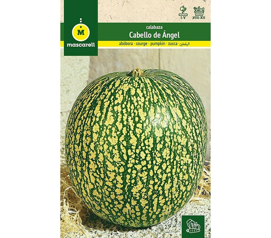 Semillas Calabaza Cabello De Ángel_0