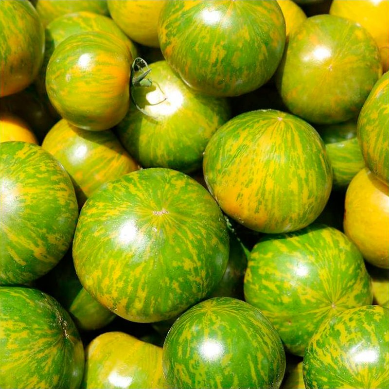 Semillas Tomate Green Zebra Ecológicas