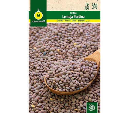 Semillas Lenteja Pardina