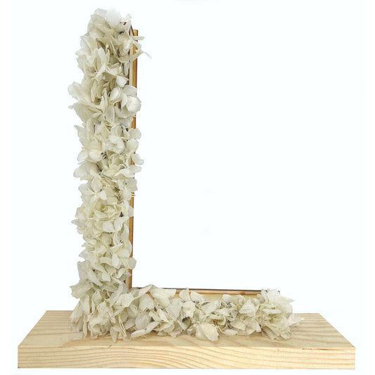 Mundo Eterno Letra Hortensia Blanca Preservada 27x26cm