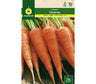 Semillas Zanahoria Royal Chantenay