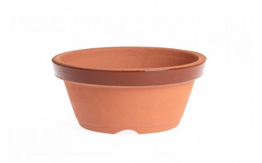 Maceta De Entrenamiento Japonesa Para Bonsái Nº 5 (15.5cm) Bonsaigranada