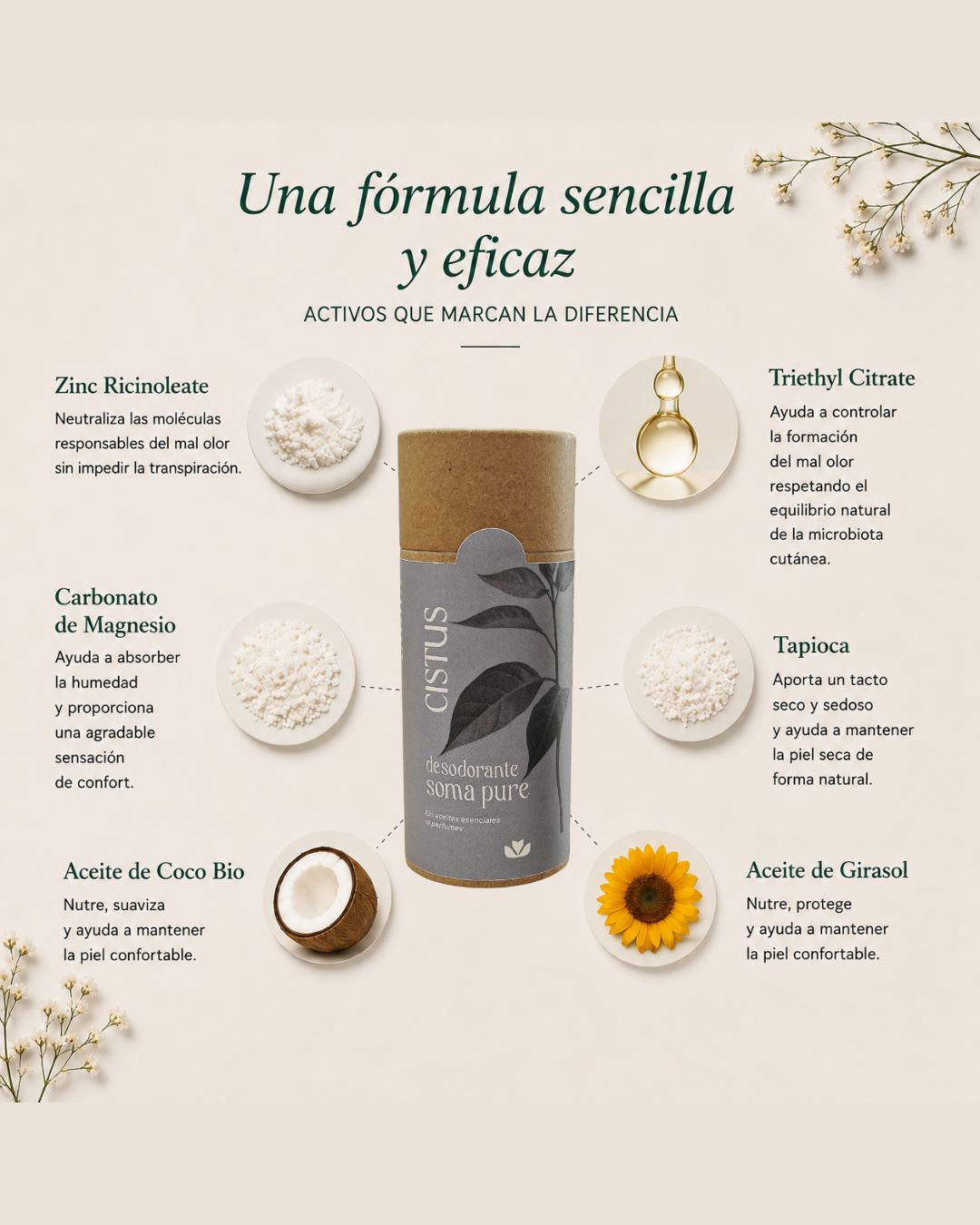 Desodorante sólido natural sin perfume para piel sensible | SOMA PURE 80 ml_2