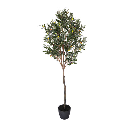 Planta Artificial Olivo - Realismo Y Estilo 1.5 M / Multicolor_1