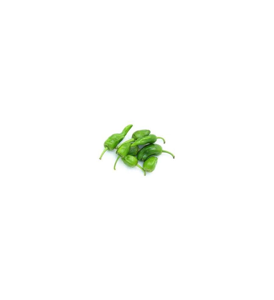 Plantón Pimiento De Padrón (10 Unidades)_2