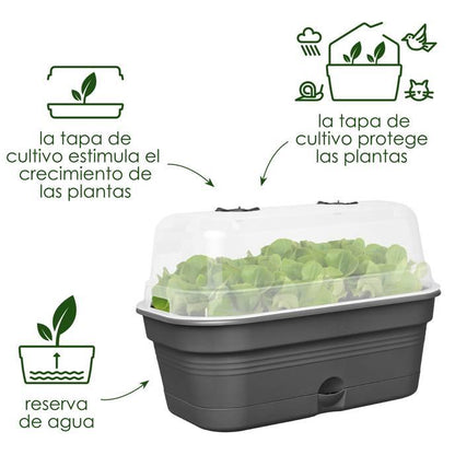 Jardinera de cultivo ALLIN1 Green Basics Elho 39 cm L