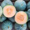 Semillas Melón Petit Gris De Rennes Ecológicas Biodinámicas Demeter