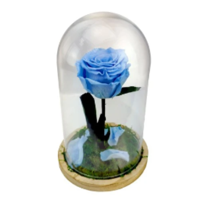 Mundo Eterno Rosa En Cúpula Azul Claro 12x20cm