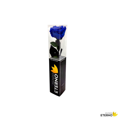 Mundo Eterno Rosa Preservada Azul Oscuro 35cm_1