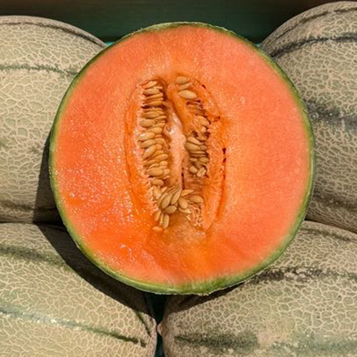 Caja De Melón Cantalupo Tropitop Caja De 2 Unidades (aprox. 3 Kg)_3