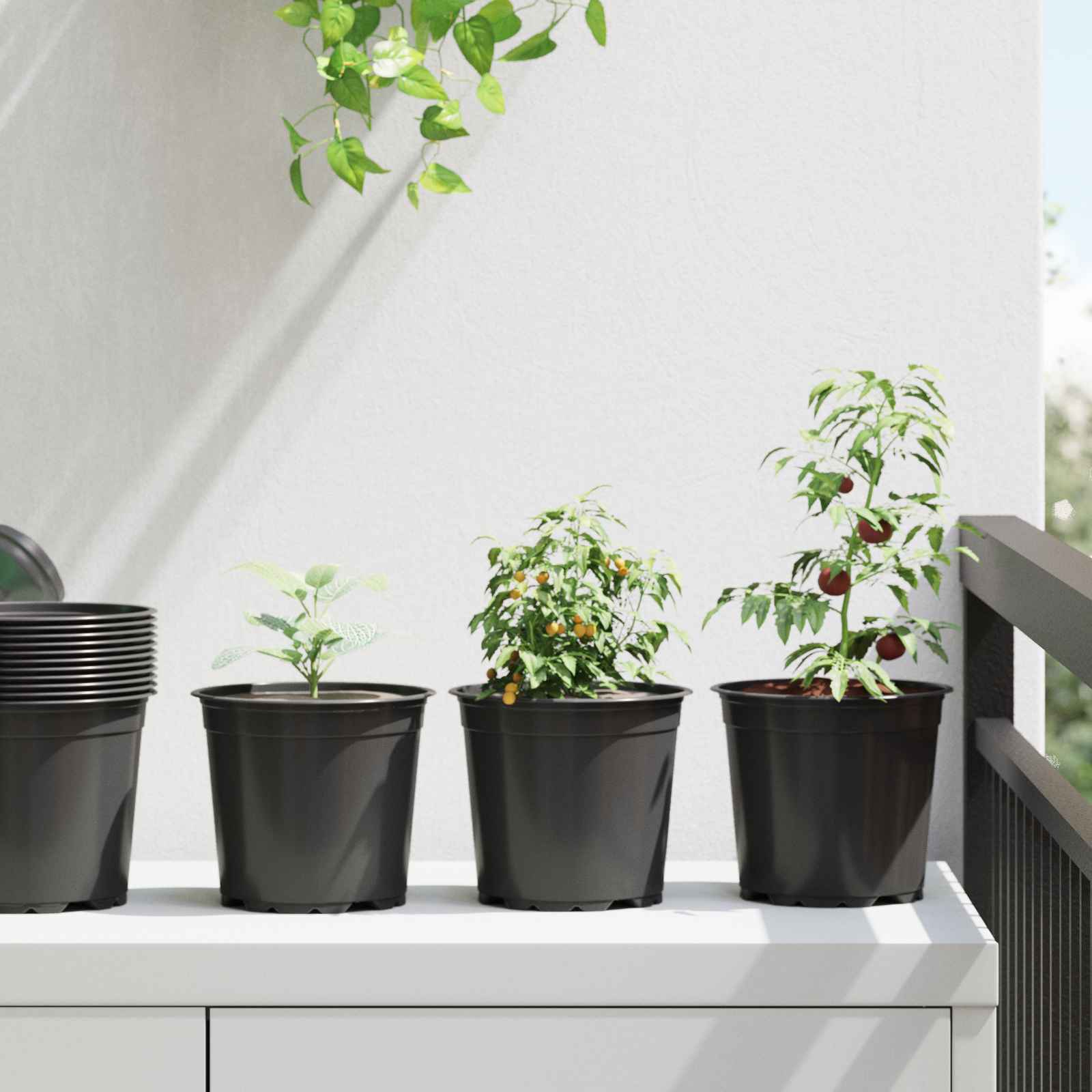 Maceta De Flores 50 Pcs Negro Ø 15 X 13 Cm Plástico_1