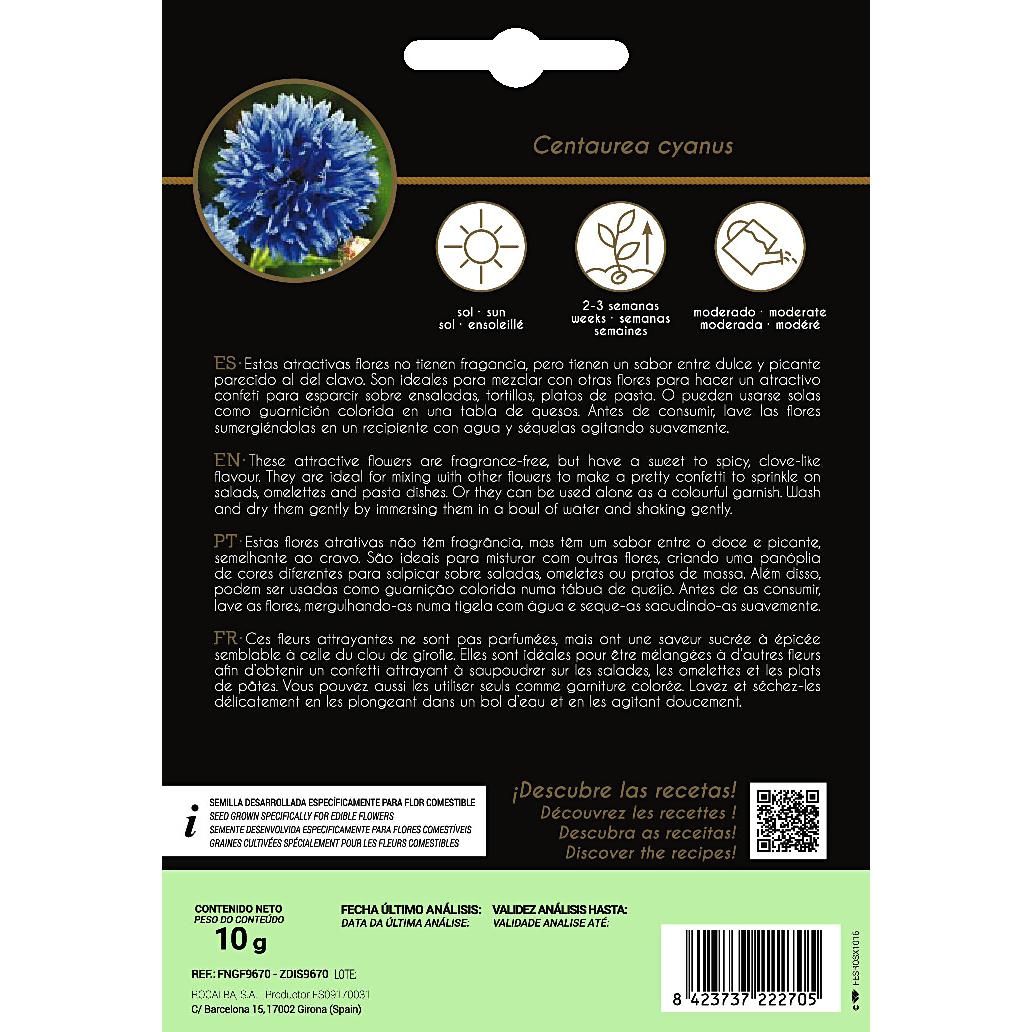 Semillas de flores comestibles de Centaurea Rocalba