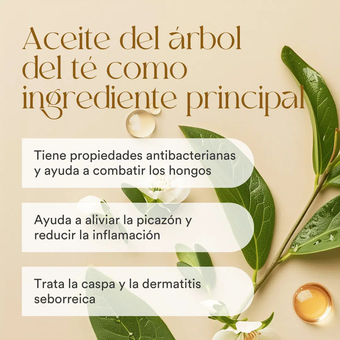 QKnatur - Champú Aceite Del Árbol Del Té 250 Ml. Elimina Caspa. Para El Picor Y La Irritación. Cuero Cabelludo Sensible_2