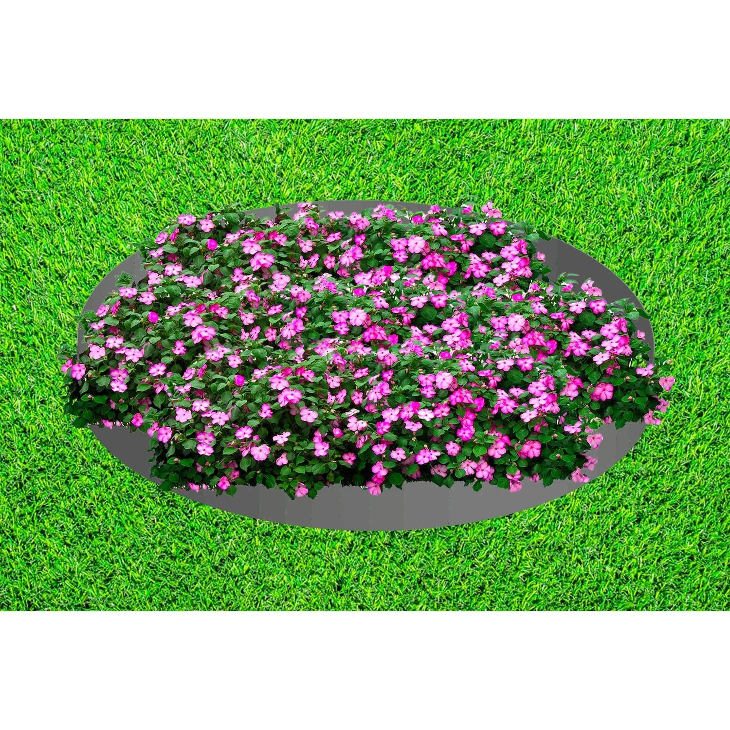 Pirámide De Flores [2 Piezas: 120 X 13,5cm]_1