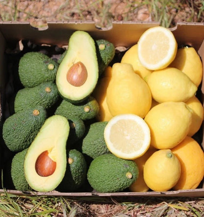 Mix Limones Verna Y Aguacates Hass De Temporada Tropitop 4kg_1