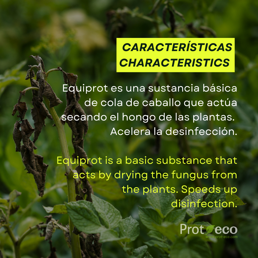 Fortificante ecológico de cola de caballo para plantas Equiprot Prot-eco 250 ml + pipeta dosificadora 5 ml gratis_3
