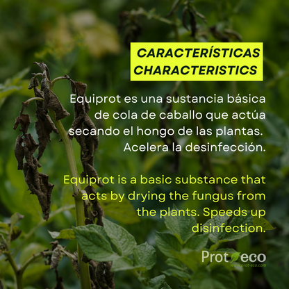 Fortificante ecológico de cola de caballo para plantas Equiprot Prot-eco 250 ml + pipeta dosificadora 5 ml gratis_3