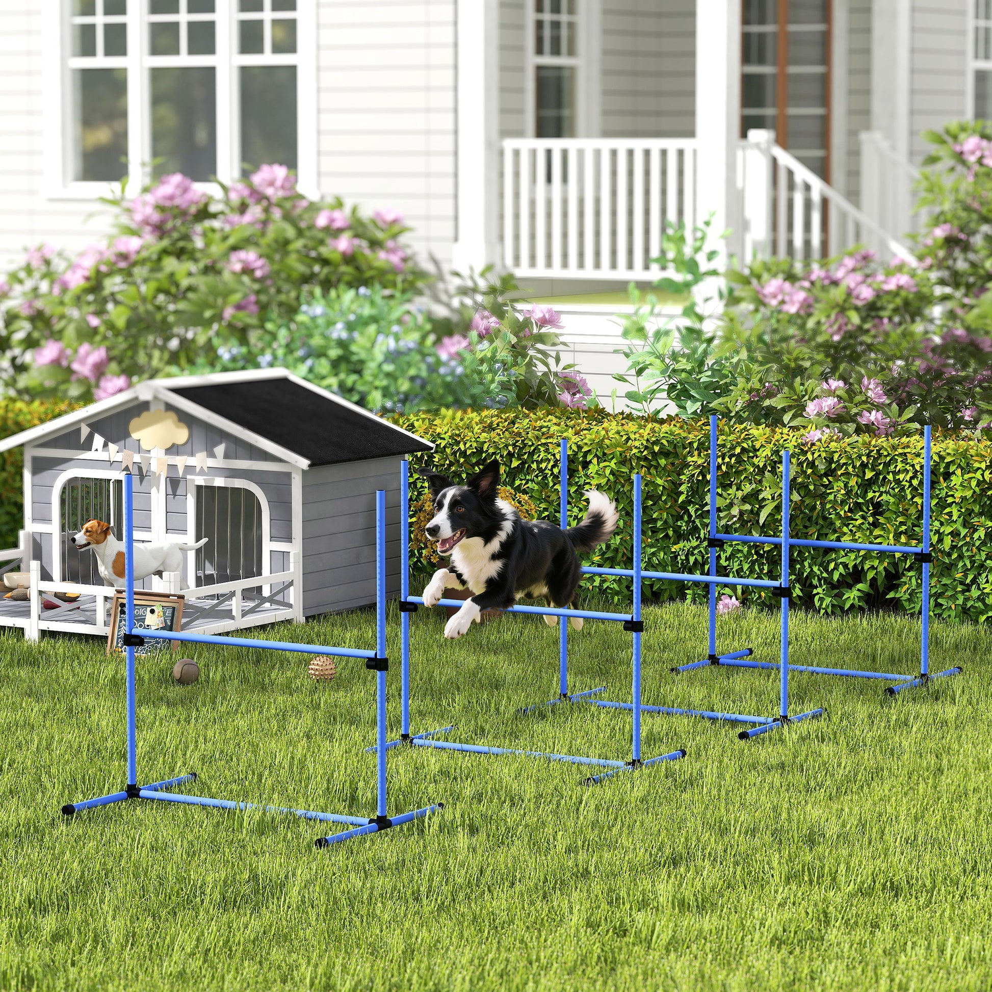 Pawhut Set Entrenamiento Agilidad Perros 4 Vallas De Salto Con Altura Ajustable_1