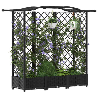 Cama Elevada Con Trellis Y Techo Negro 163 X 40 X 123 Cm Pp_2