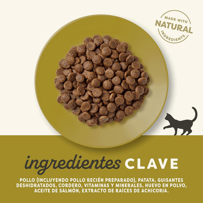 Applaws Cat Dry Pollo y Cordero 2 kg Pienso natural para gatos grain free