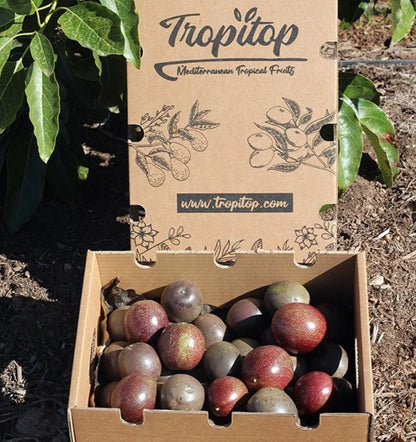 Fruta De La Pasión O Maracuyá | Caja De 2kg_1