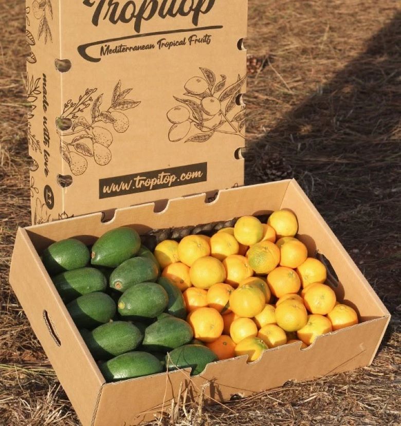 Caja 9kg Mix Aguacates De Piel Lisa Y Mandarinas | 4,5 Kg De Cada Fruta_1