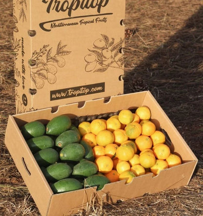 Caja 9kg Mix Aguacates De Piel Lisa Y Mandarinas | 4,5 Kg De Cada Fruta_1