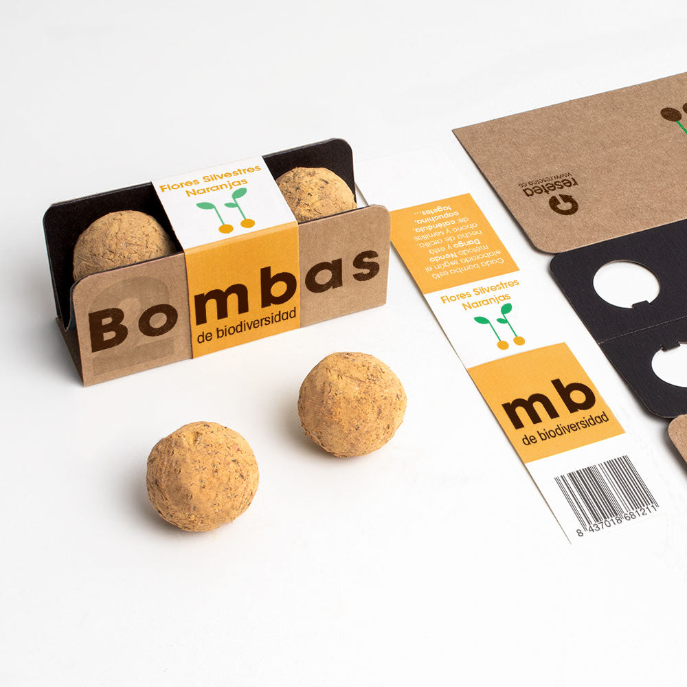 Bombas De Biodiversidad (flores Silvestres Naranjas)_1