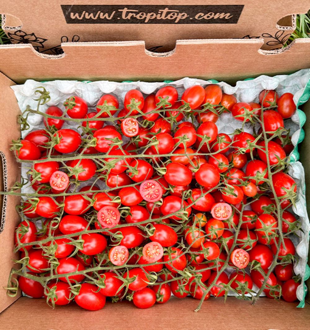 Caja De Tomates Cherry En Rama Tropitop Caja De 2kg_1