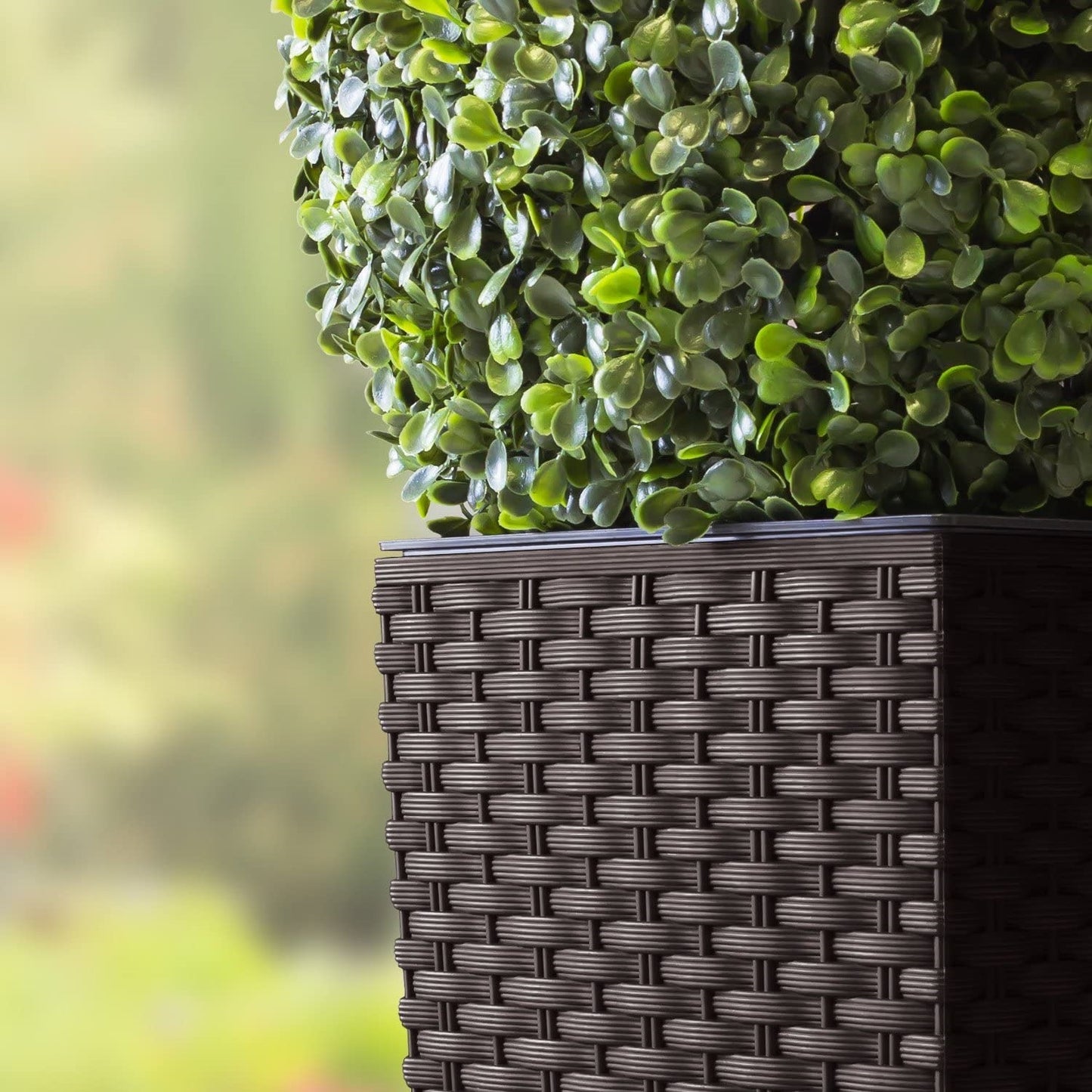 Maceta Alta Cuadrada 19 L Prosperplast Rato Square  De Plástico Con Depósito En Color Antracita, 45 (alto) X 24 (ancho) X 24 (profundo) Cms_4