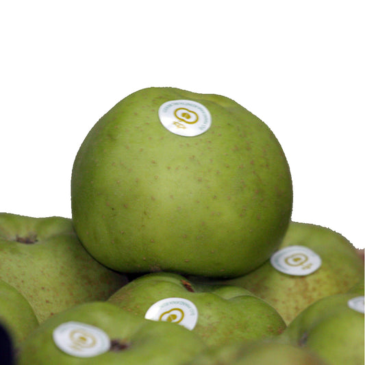 Manzana Reineta Del Bierzo. Grande. Caja 10 Kg._0