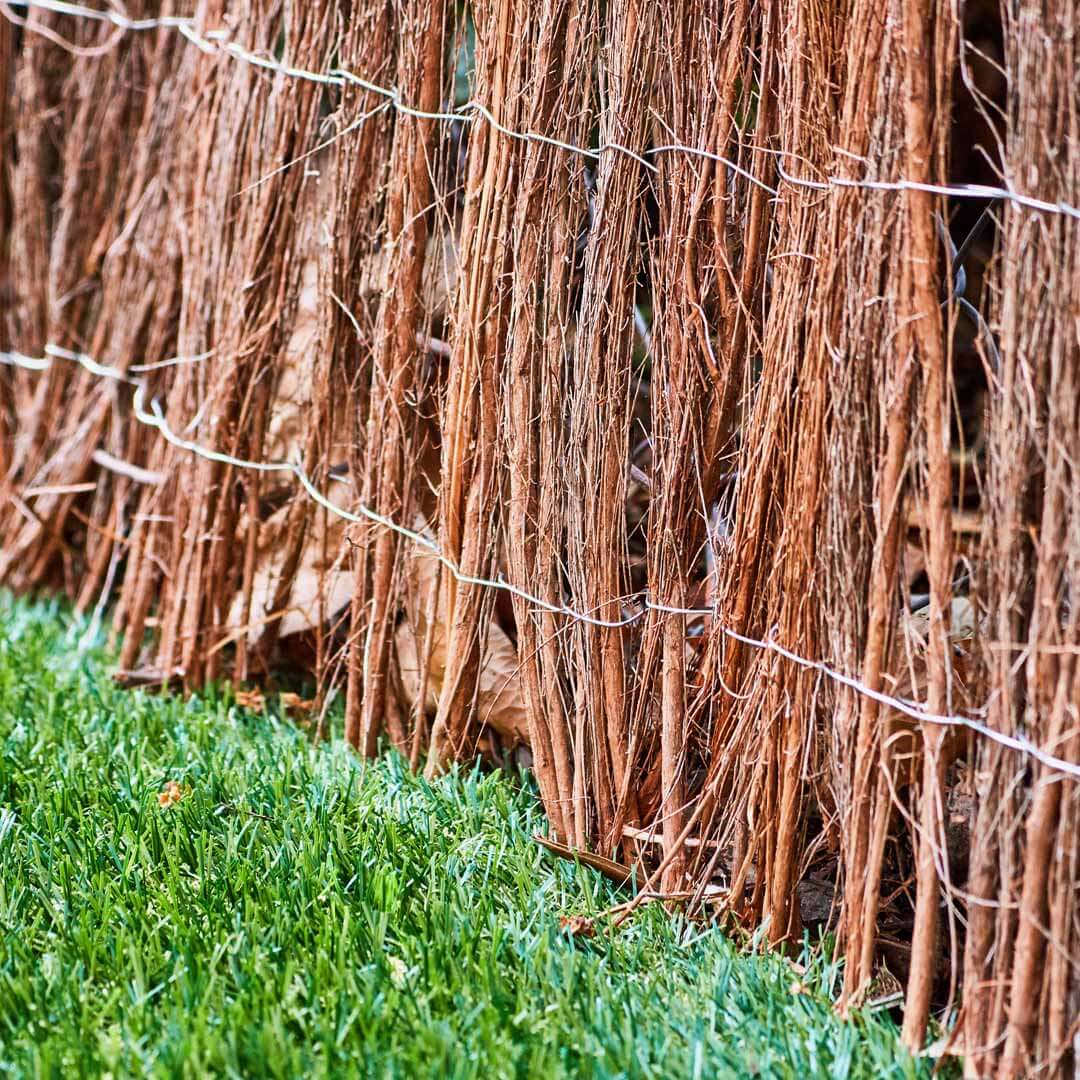 Brezo Natural Medium 1,5x5 M Nortene_3