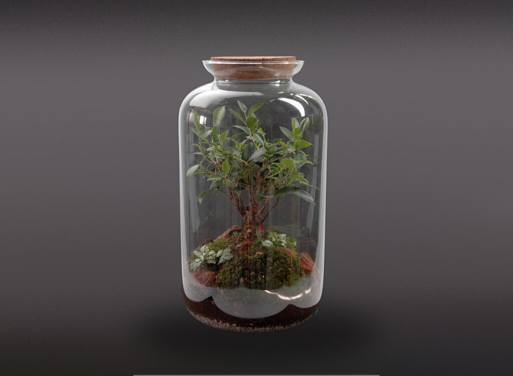 Nanogarden Terrario Retusa Mountain 41x25cm_1